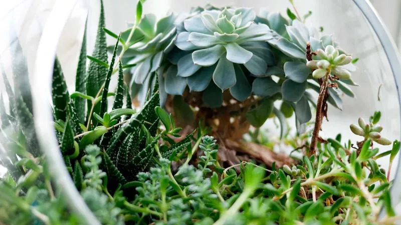 Tài khoản ngân hàng bẩn: Cảnh giác sập bẫy chứng khoán